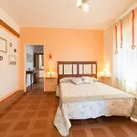 Podere San Filippo B&b-apartment-pet Friendly-rent Bike&bike Friendly