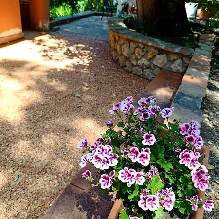 Podere San Filippo B&b-apartment-pet Friendly-rent Bike And Bike Friendly 3*