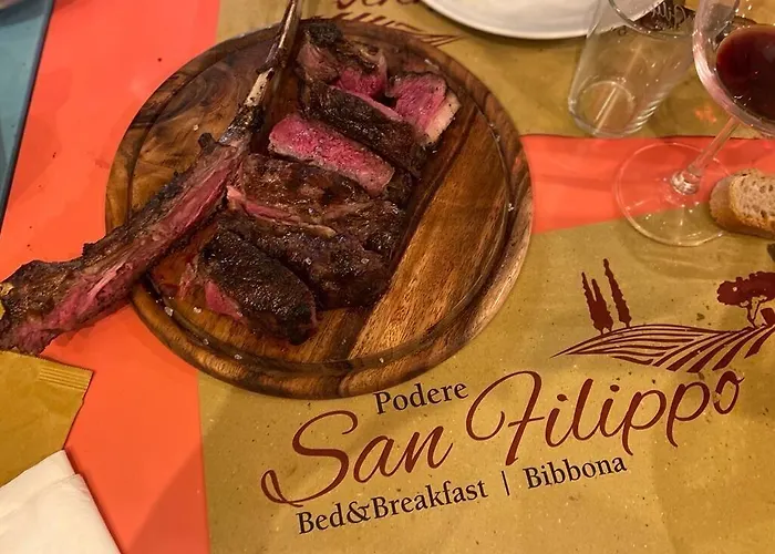 Podere San Filippo B&b-apartment-pet Friendly-rent Bike And Bike Friendly 비보나