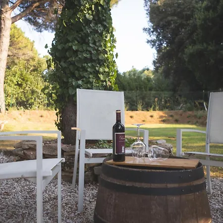 Bed & Breakfast Podere San Filippo B&b-apartment-pet Friendly-rent Bike And Bike Friendly Bibbona